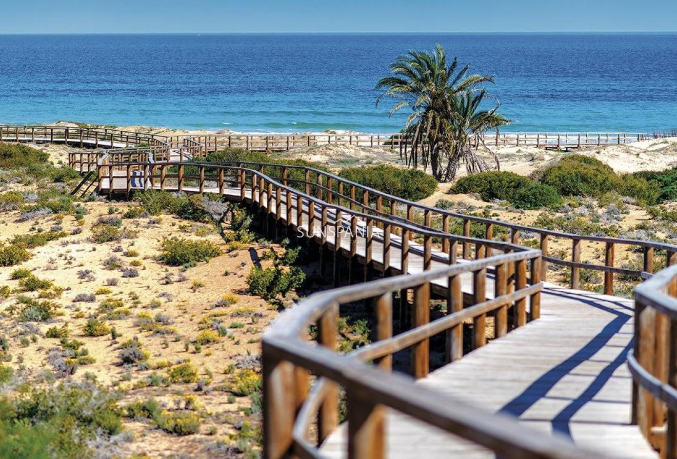 Obra nueva - Ático -
Monforte del Cid - Alenda Golf