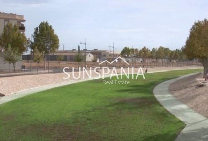 Nouvelle construction - Maison indépendante -
Pilar de la Horadada