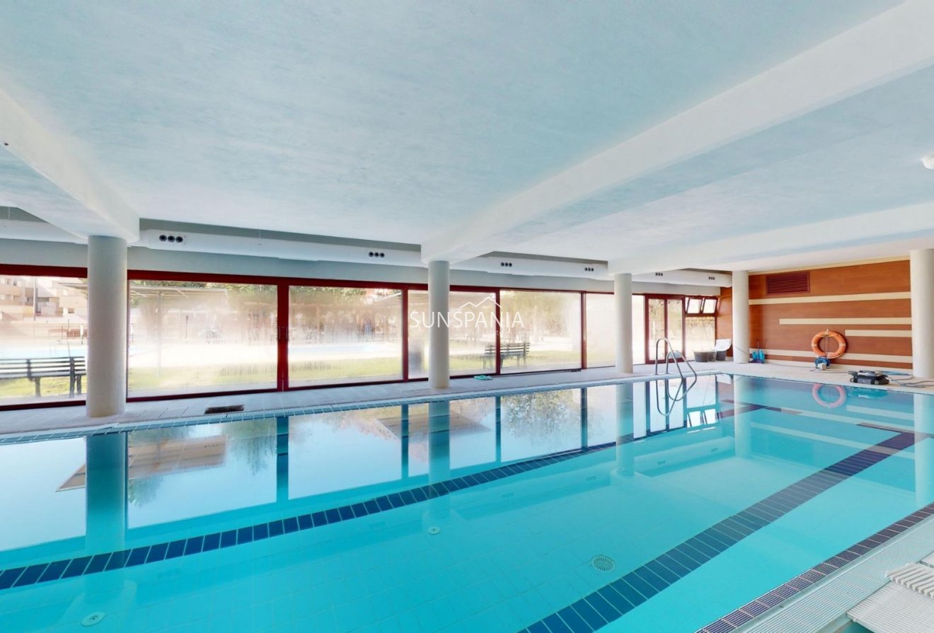 Obra nueva - Piso -
Archena - Villanueva del Rio Segura