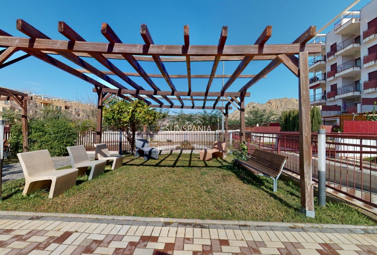 Obra nueva - Piso -
Archena - Villanueva del Rio Segura