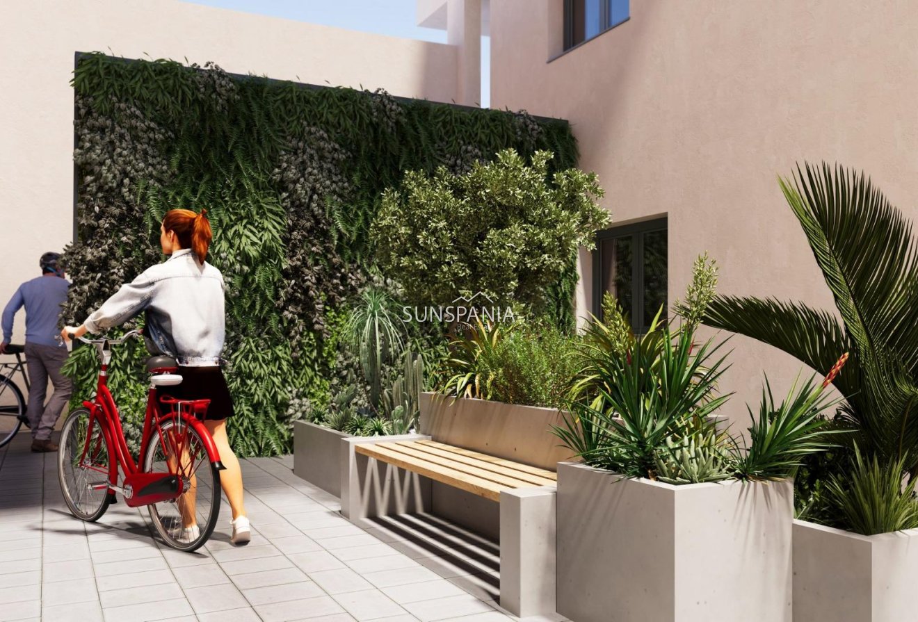 Obra nueva - Ático -
San Miguel de Salinas - Pueblo