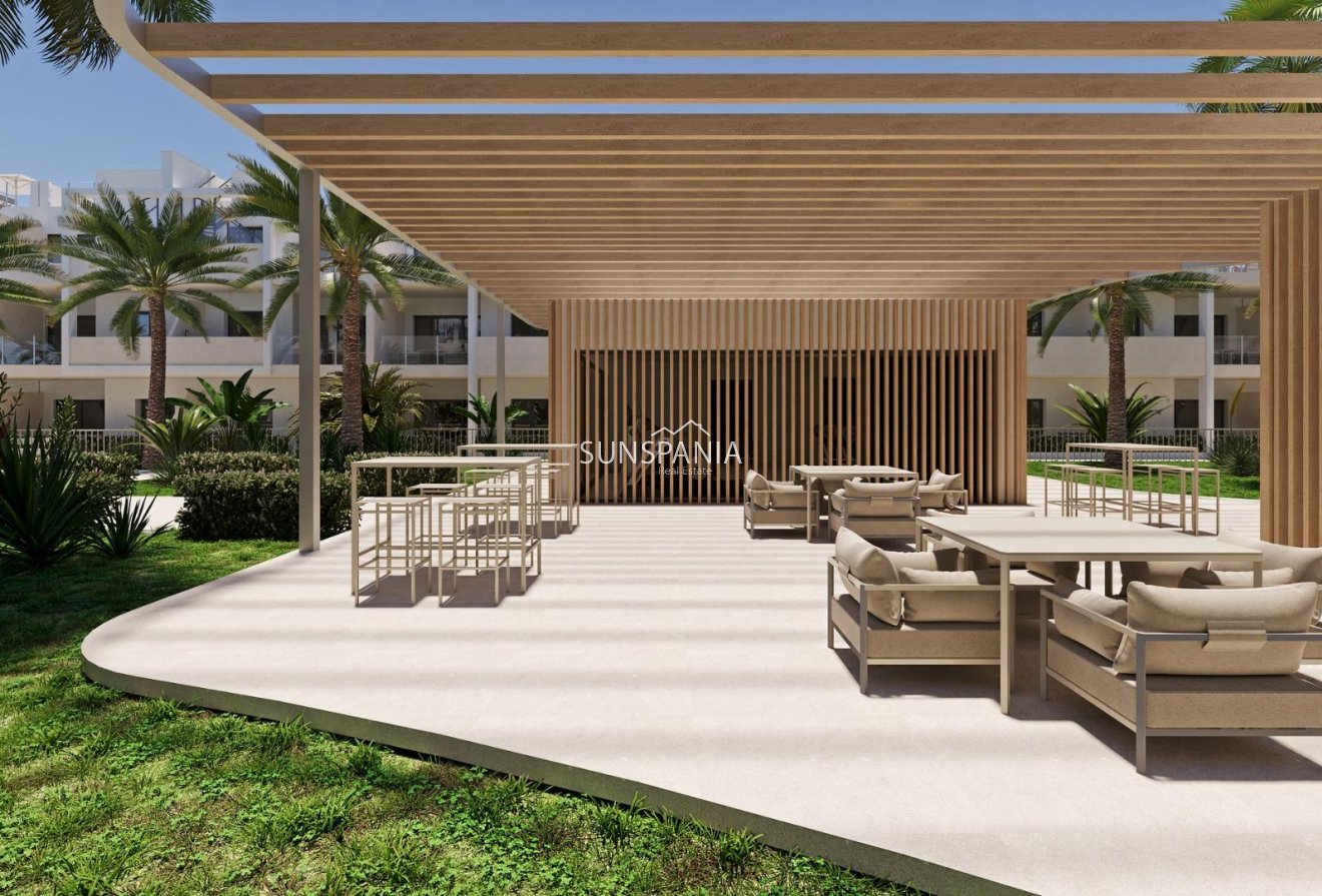 Obra nueva - Ático -
Torre Pacheco - San Cayetano