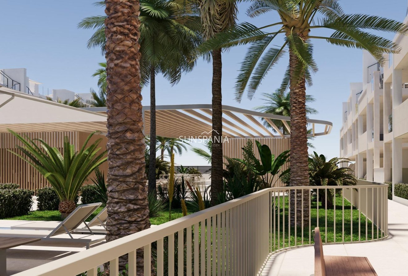 New Build - Apartment -
Torre Pacheco - San Cayetano