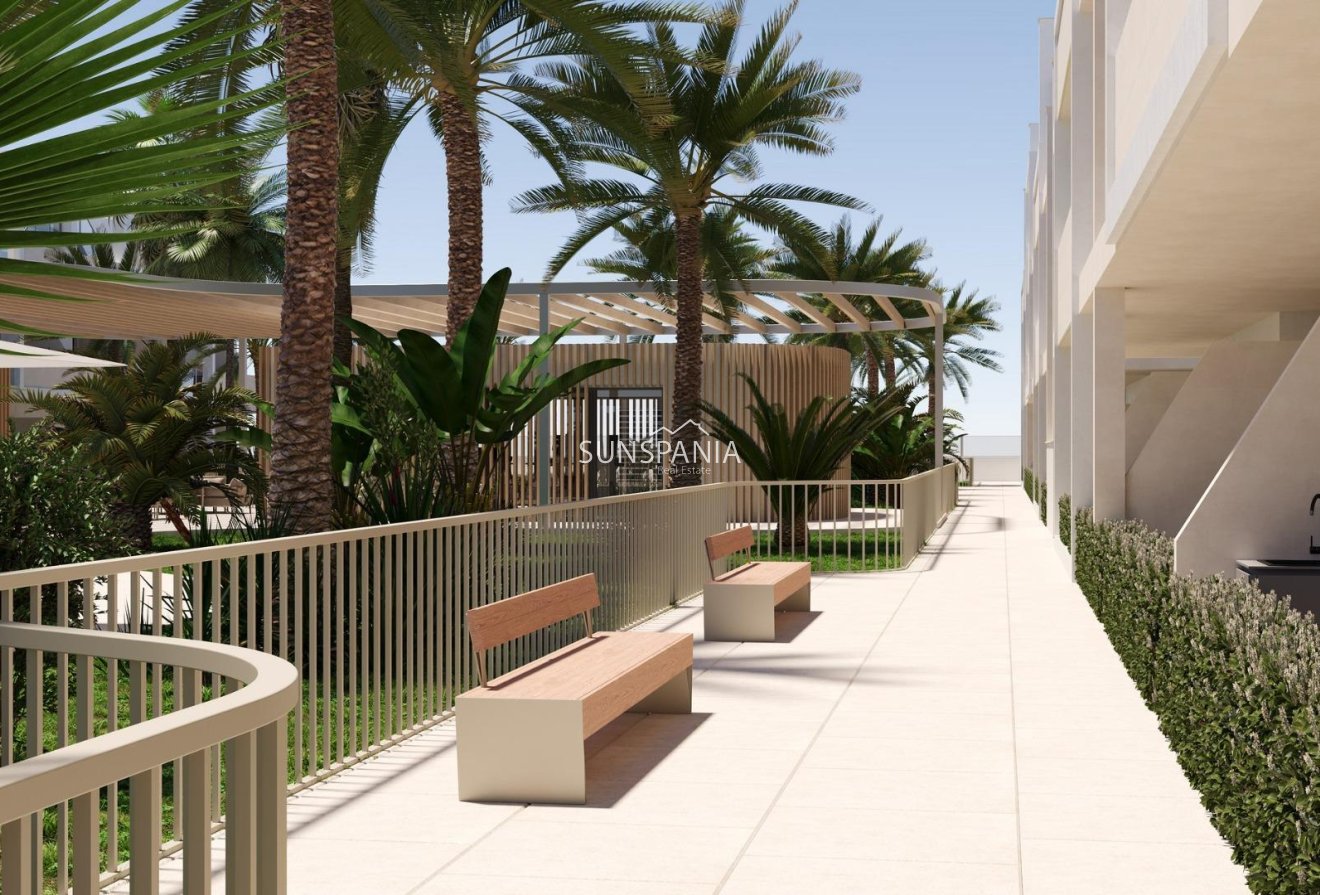 New Build - Apartment -
Torre Pacheco - San Cayetano