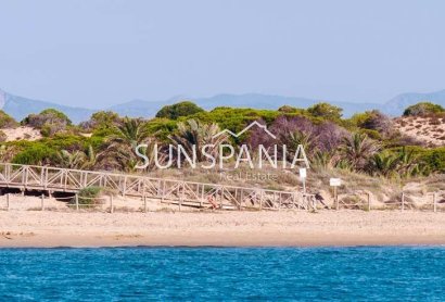 Obra nueva - Ático -
Guardamar del Segura - Pueblo