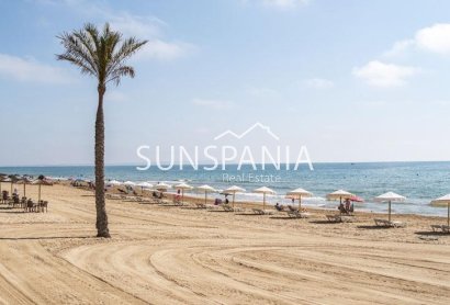 Obra nueva - Piso -
Guardamar del Segura - Pueblo