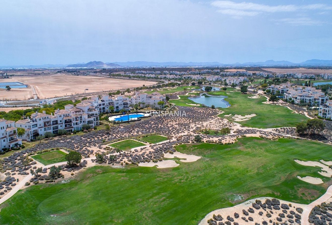 Obra nueva - Chalet -
Sucina