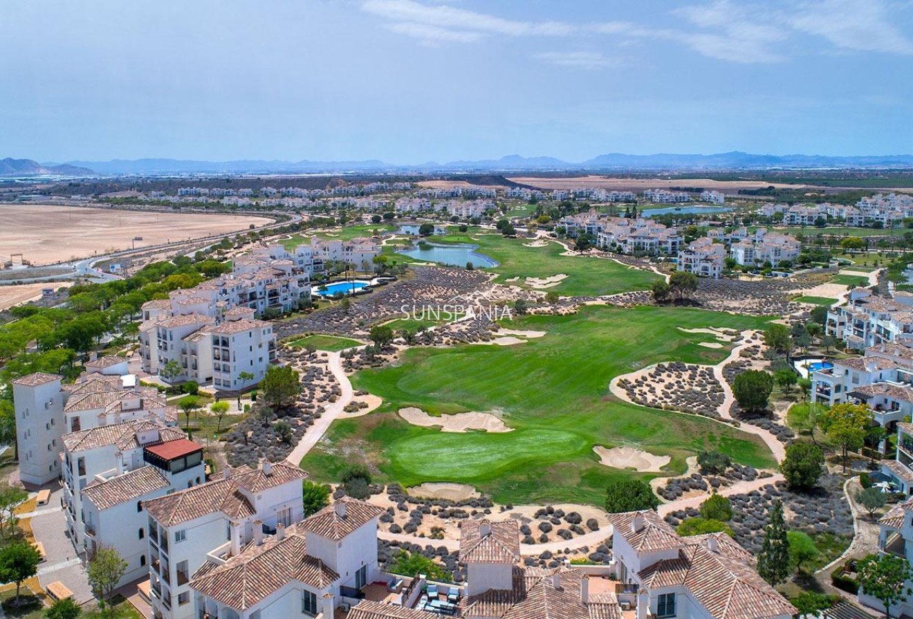 Obra nueva - Chalet -
Sucina