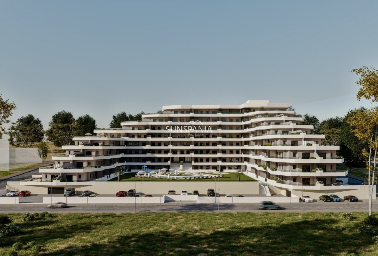 Obra nueva - Piso -
San Miguel de Salinas - Pueblo