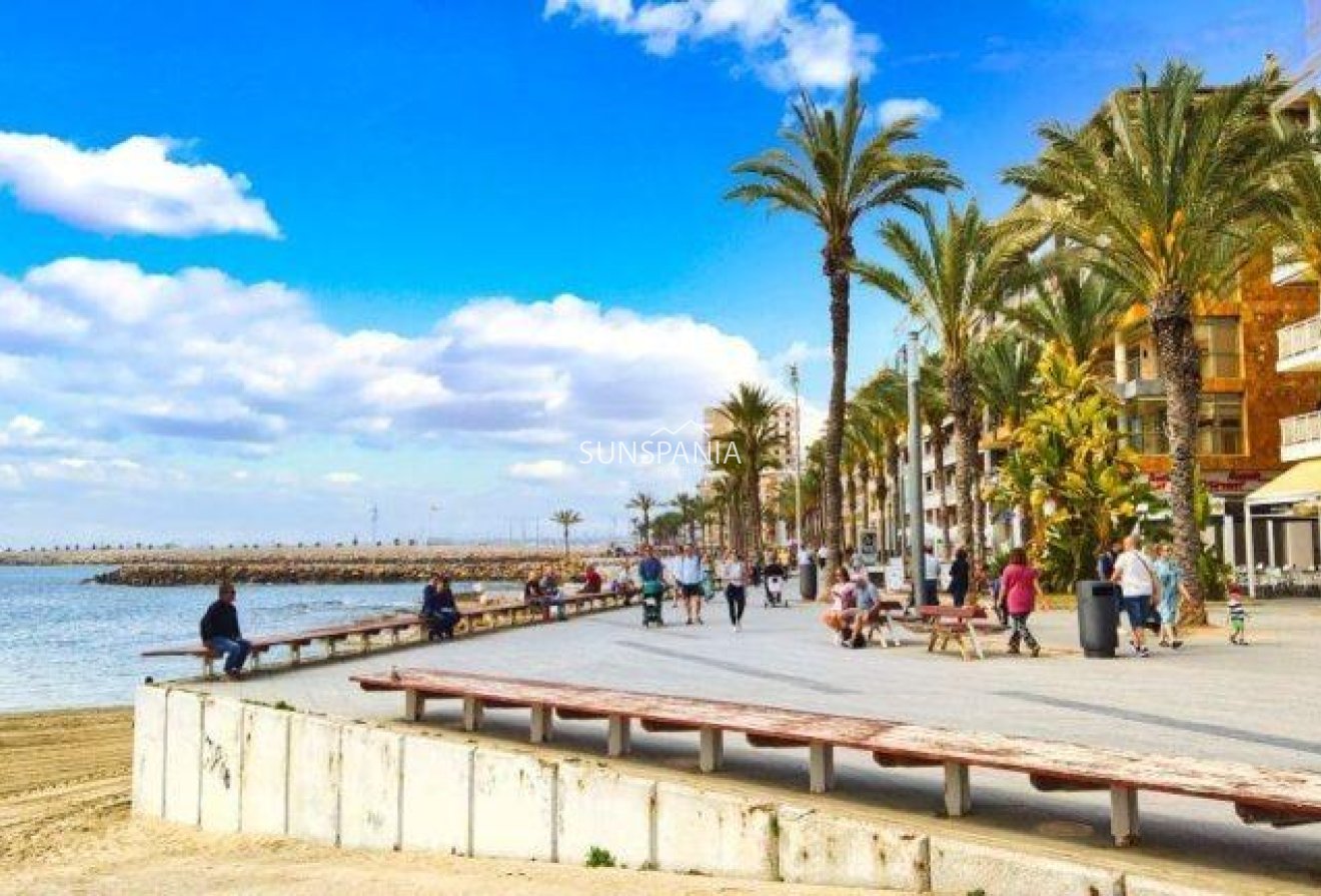 Obra nueva - Ático -
Torrevieja - Playa de los Locos
