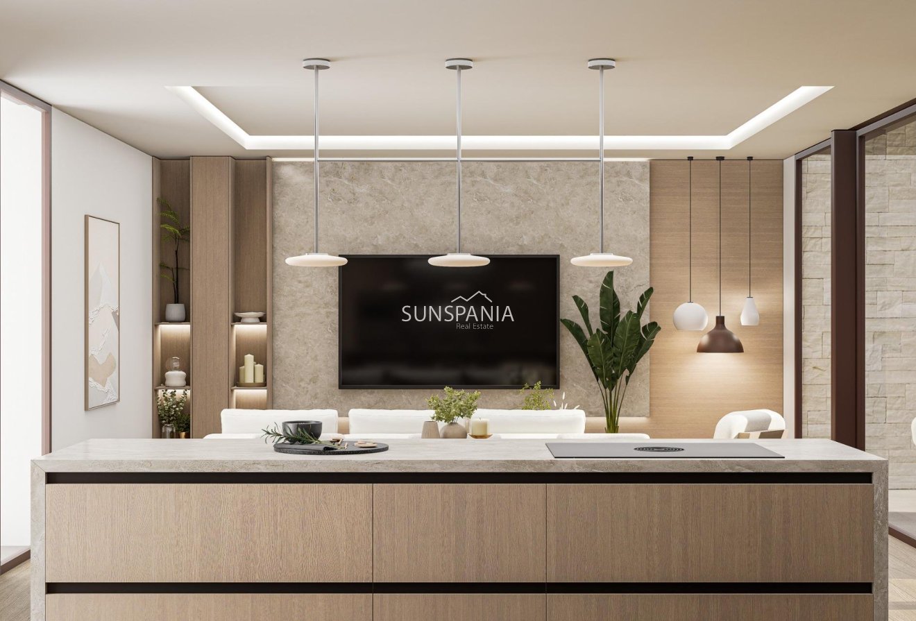 Obra nueva - Chalet -
Pinoso - Lel