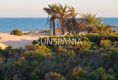 Obra nueva - Piso -
Guardamar del Segura - Avda del Puerto