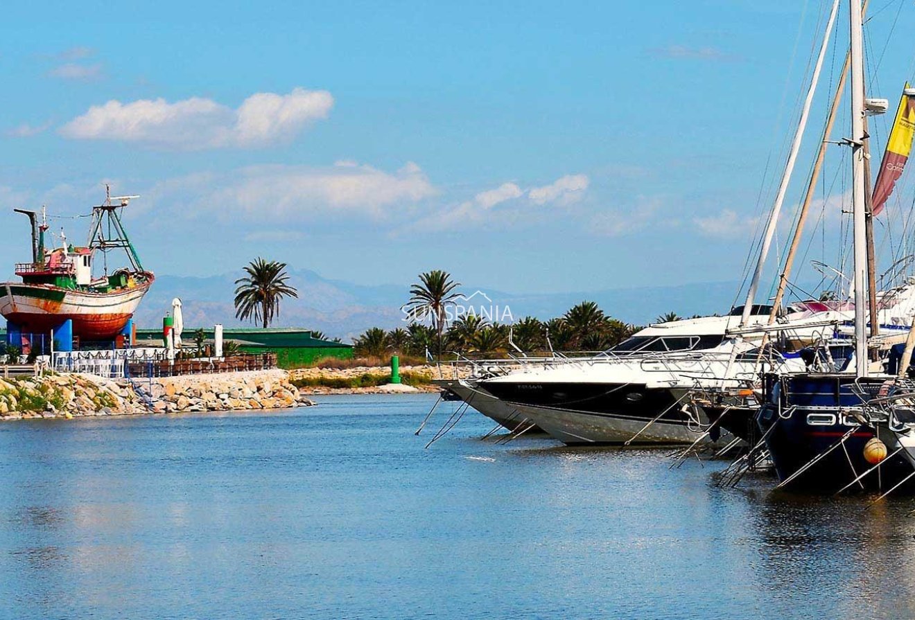 Obra nueva - Ático -
Guardamar del Segura - Avda del Puerto