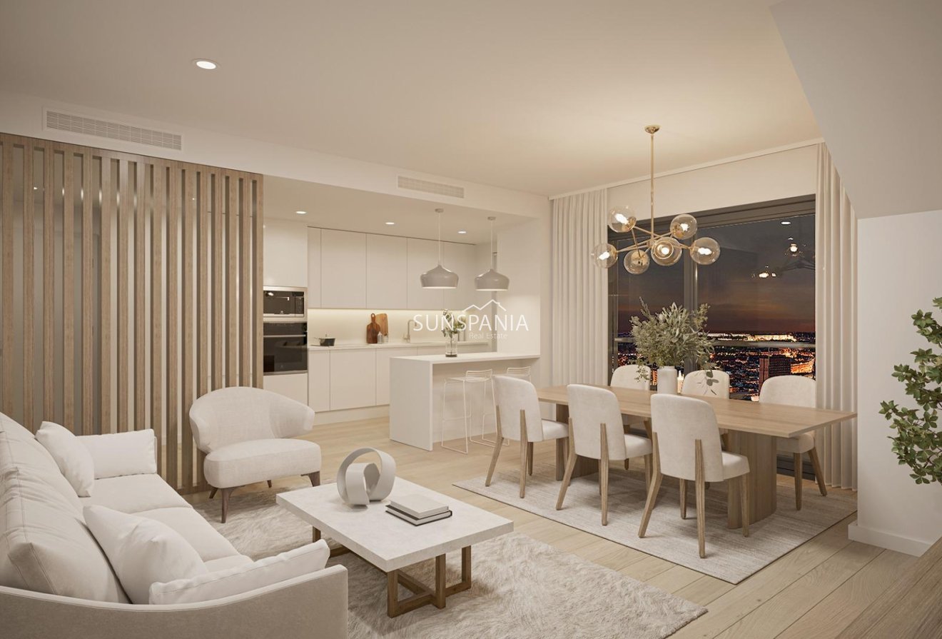 Obra nueva - Ático -
Alicante - San Agustín-PAU 2