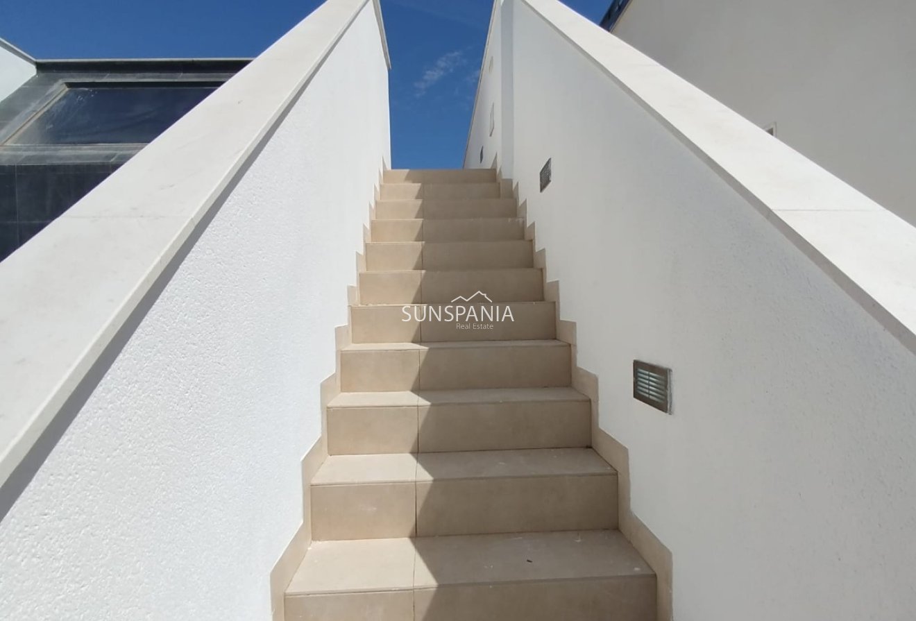 Obra nueva - Chalet -
Benijofar