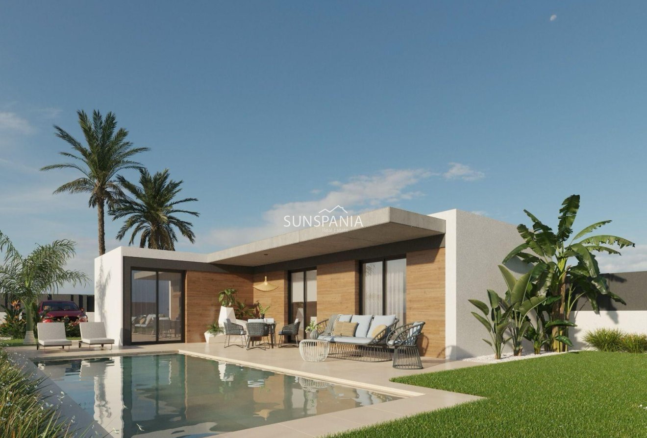 Obra nueva - Chalet -
Molina De Segura - Urb. La Quinta