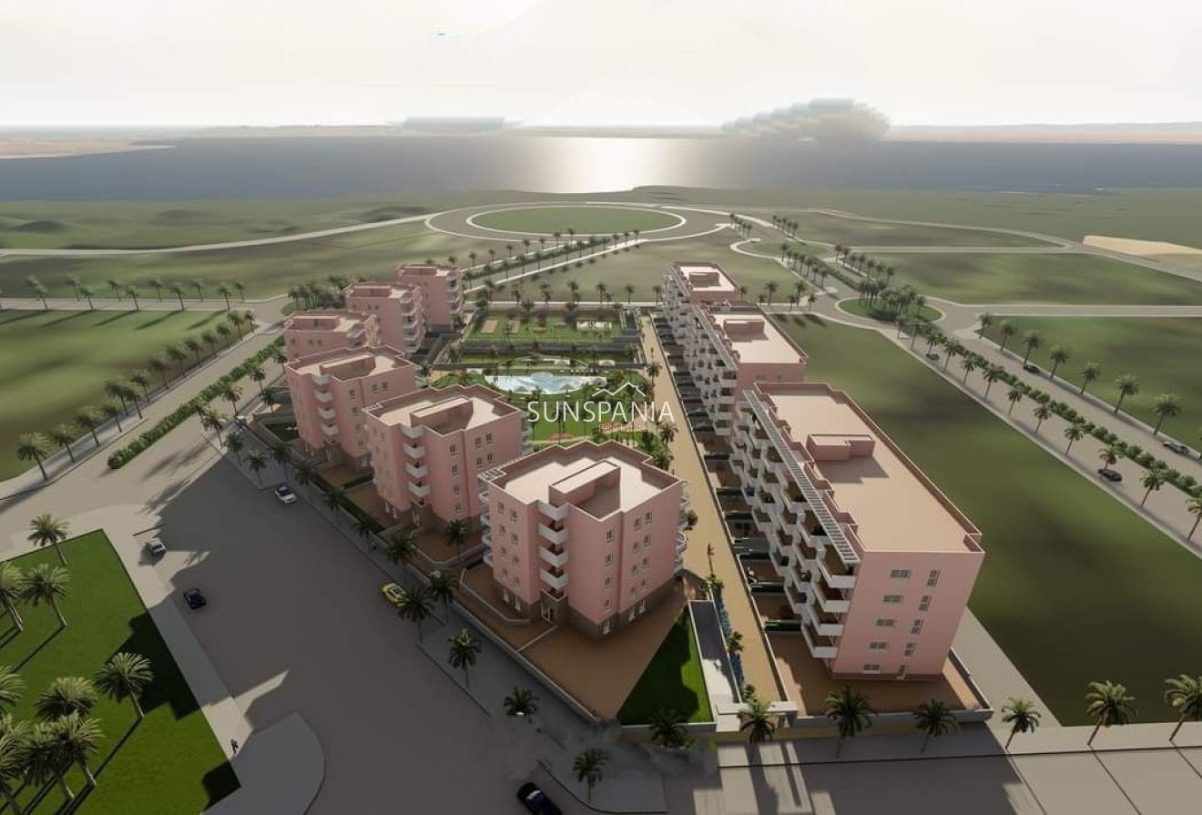 Obra nueva - Ático -
Guardamar del Segura - El Raso
