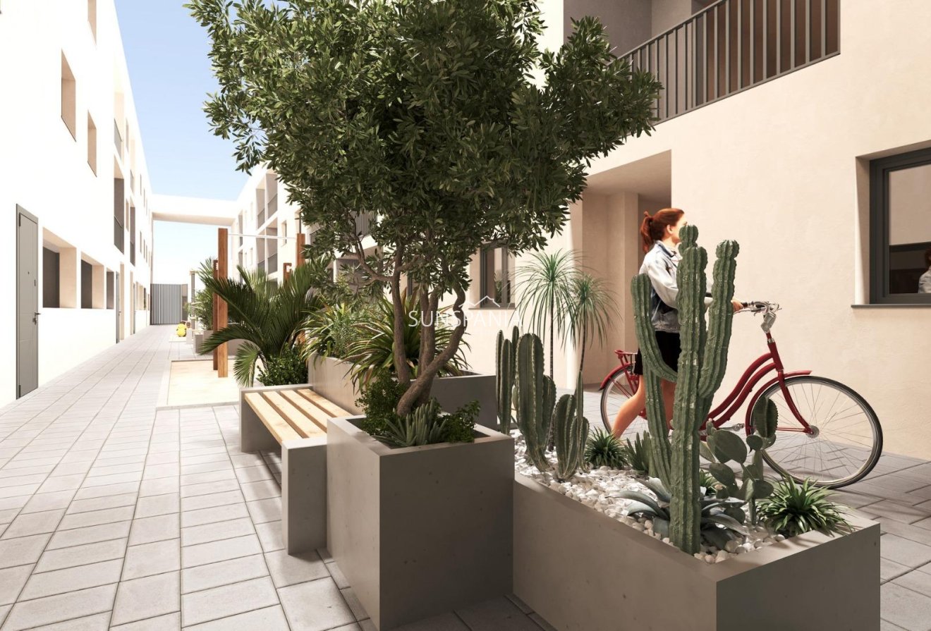 Obra nueva - Piso -
San Miguel de Salinas - Pueblo