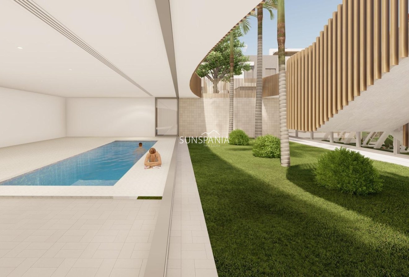 Obra nueva - Piso -
Pilar de la Horadada - Playa de las Higuericas
