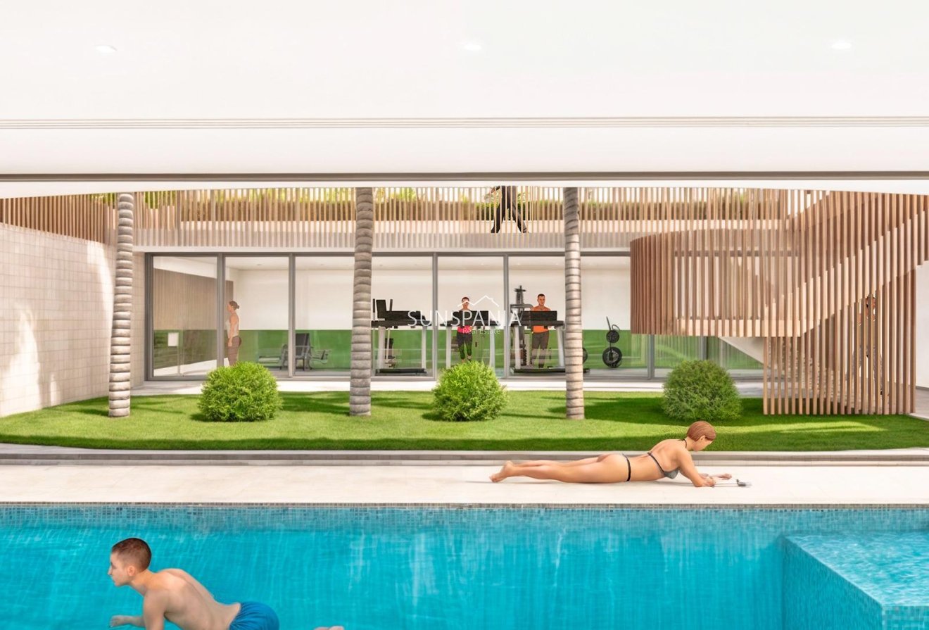 Obra nueva - Piso -
Pilar de la Horadada - Playa de las Higuericas