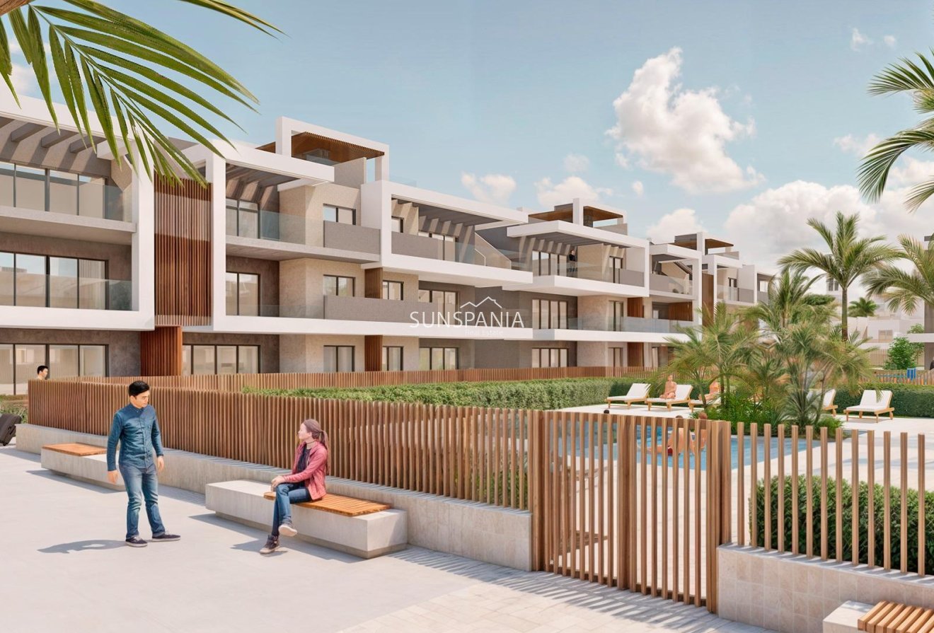 Obra nueva - Ático -
Pilar de la Horadada - Playa de las Higuericas