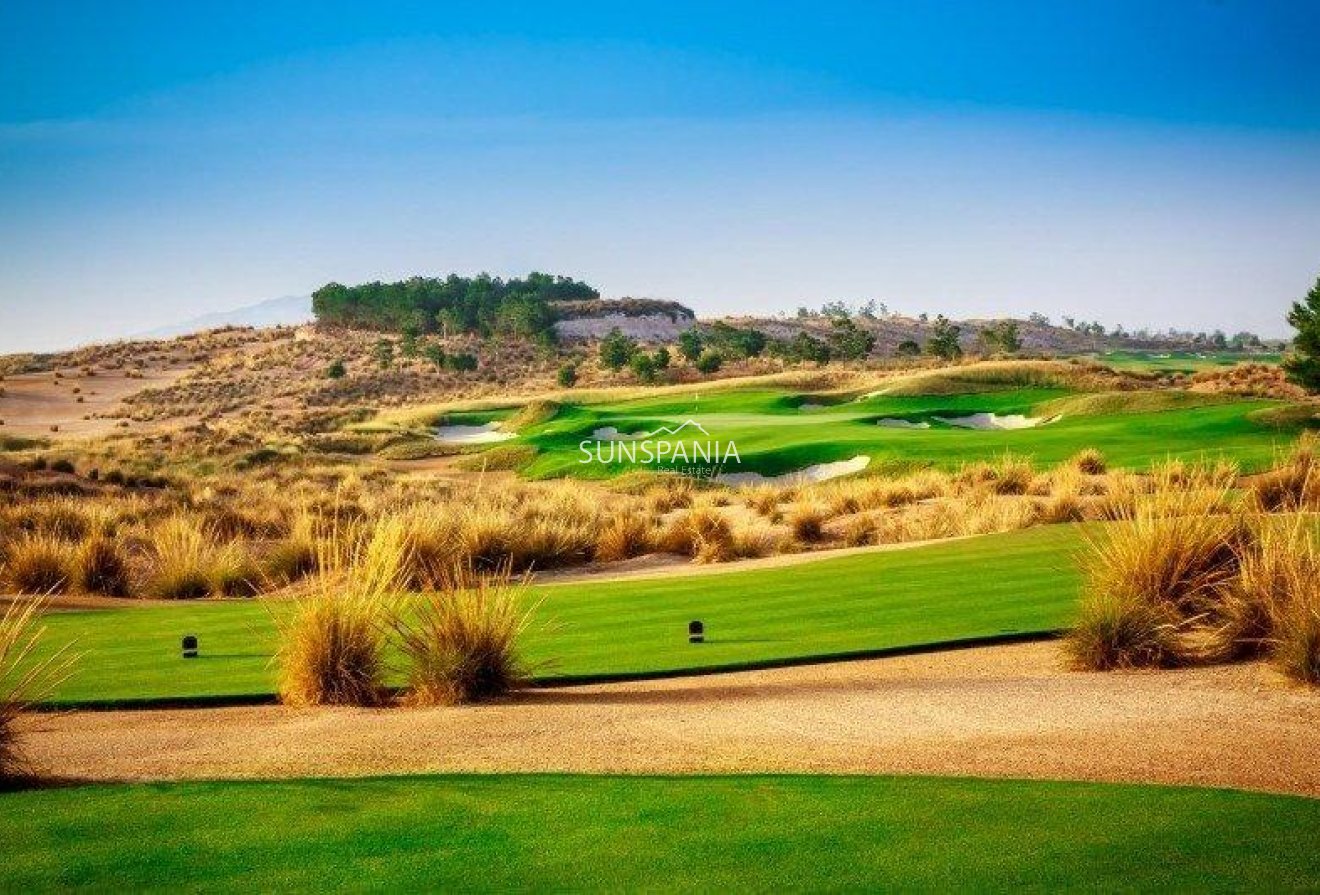 Obra nueva - Piso -
Alhama De Murcia - Condado De Alhama