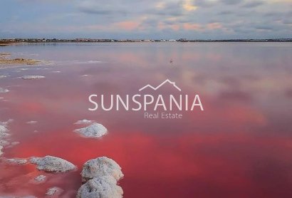 Obra nueva - Chalet -
Torrevieja - Lago Jardín II