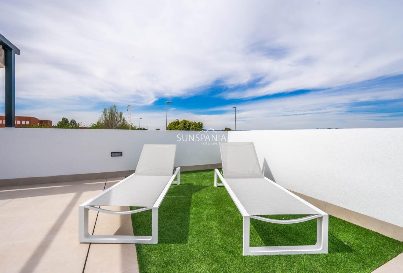 Obra nueva - Chalet -
Torre Pacheco - Roldán